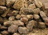 Abhilfe für die Bäume