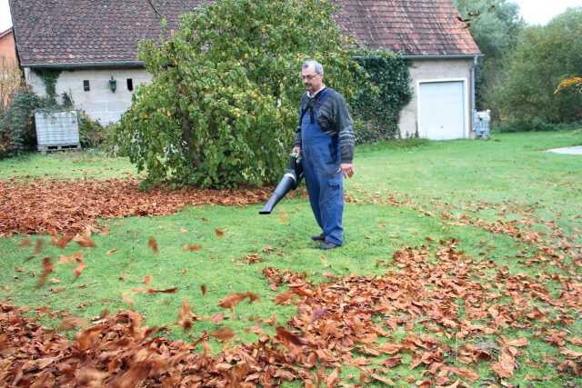 Auch nasses Laub war für den Akku-Laubbläser XR120, hier mit Flachdüse, kein Problem.