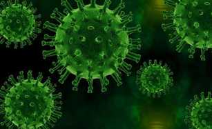 Wie geht es der GaLaBau-Branche?