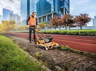 An Wildkrautbeseitigung geht kein Weg vorbei