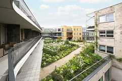 Drainagerinnen für die neue Gartenlandschaft
