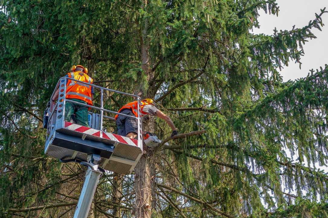 Unfall mit Arbeitsbühne im GaLaBau: So lässt sich das vermeiden Unfall mit Arbeitsbühne im GaLaBau: So lässt sich das vermeiden