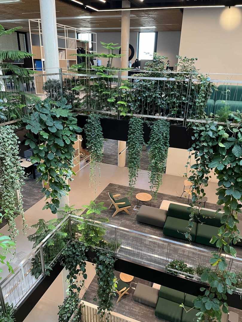 Das Siegerobjekt in der Kategorie „BuGG-Innenraumbegrünung des Jahres 2026“: x-tention Campus in Wels, Österreich. | Foto: Christoph Platzer Das Siegerobjekt in der Kategorie „BuGG-Innenraumbegrünung des Jahres 2026“: x-tention Campus in Wels, Österreich. | Foto: Christoph Platzer
