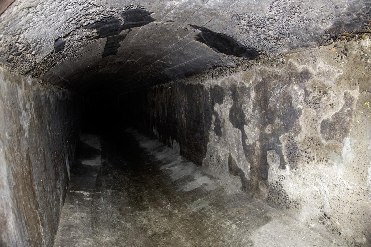 Der Schaden im Olgasammler in Ulm vor der Sanierung. | Foto: Andreas Mauritz, Jockgrim