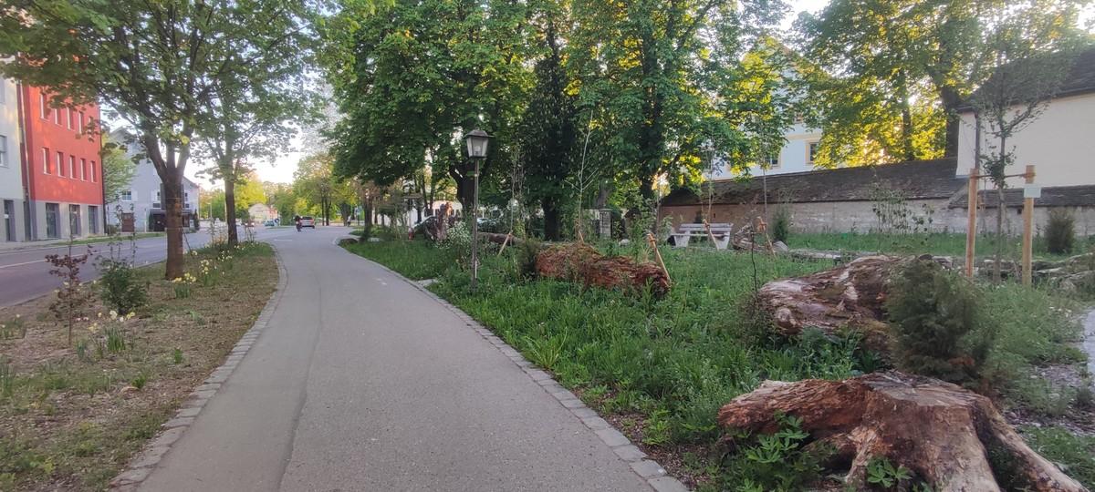 Forest in Weilheim i.O. (kommbio) | Foto: Kommbio