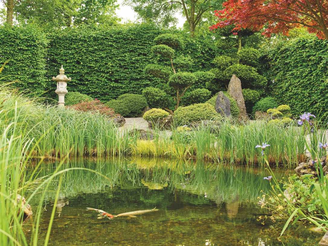 Alles für den Gartenteich von der Oase-Gruppe Alles für den Gartenteich von der Oase-Gruppe