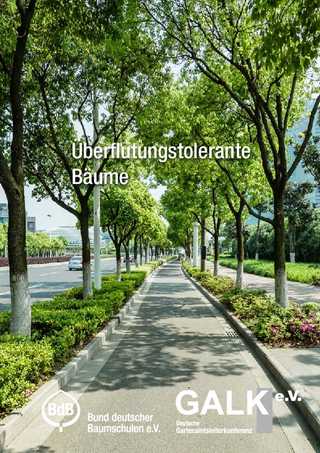 Überflutungstolerante Bäume: GALK gibt Planungshilfe