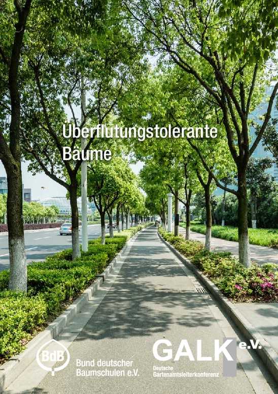 Neue GALK-Broschüre zeigt: Welcher Baum ist für die Schwammstadt geeignet