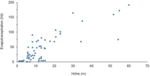 Abbildung 5: Evapotranspiration gegen Baumhöhe an Sommertagen nach einer Auswertung von internationalen Messdaten zur Evapotranspiration von (Laub-)Bäumen (Angiosperme) in verschiedenen Klimazonen und mit unterschiedlichen Standortbedingungen (n=77; Sommerzeit). [1] | Foto: Grüning, FH Münster