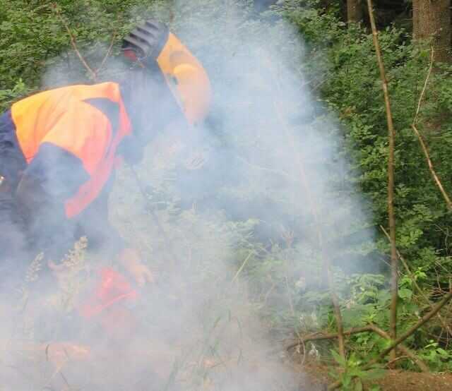 Auf diesem Bild sind die Abgase durch Beimischen von Rapsöl im Benzin sichtbar gemacht worden.