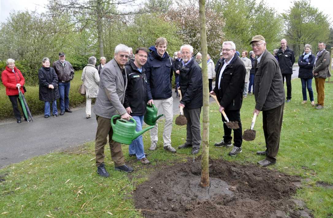 „Baum des Jahres“ und Baum für die Zukunft: die Echte Mehlbeere „Baum des Jahres“ und Baum für die Zukunft: die Echte Mehlbeere