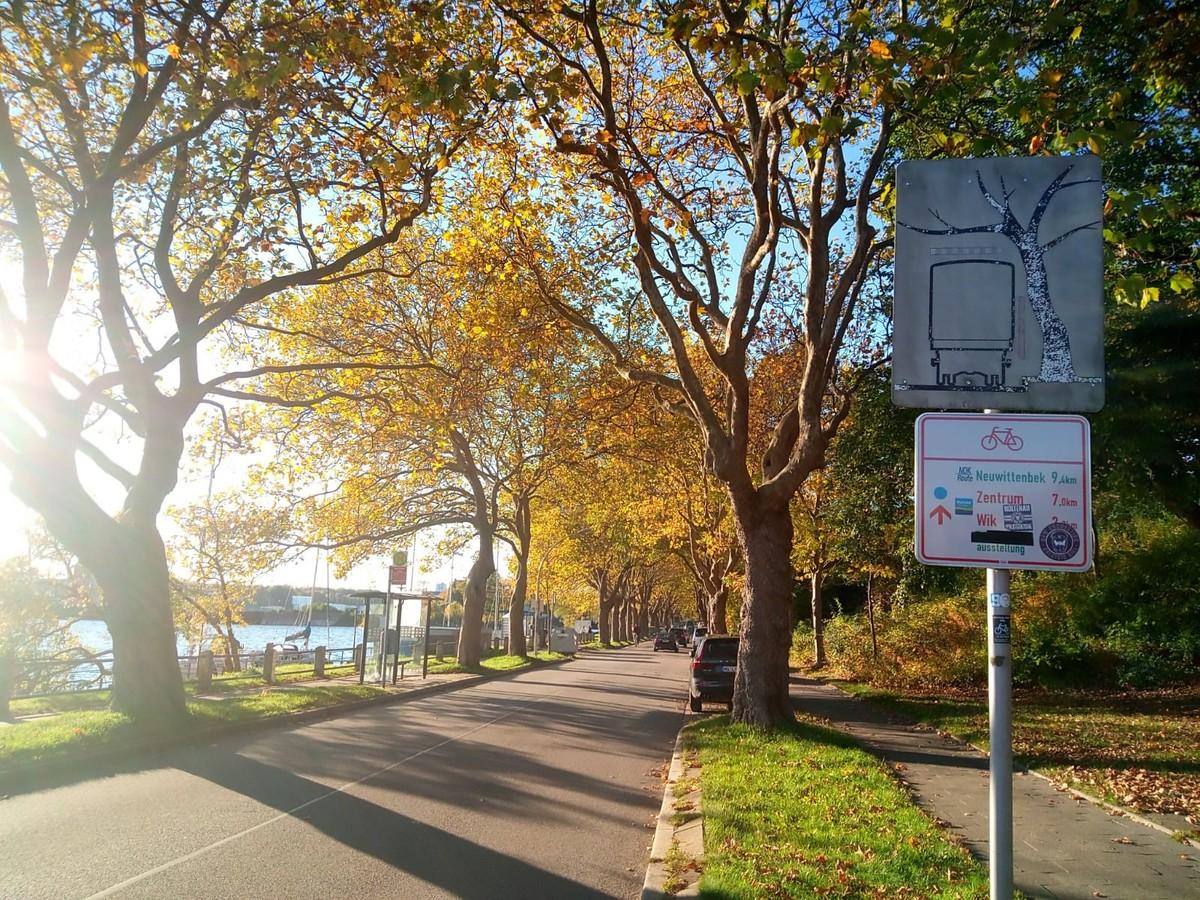 Allee in Holtenau | Foto: BH