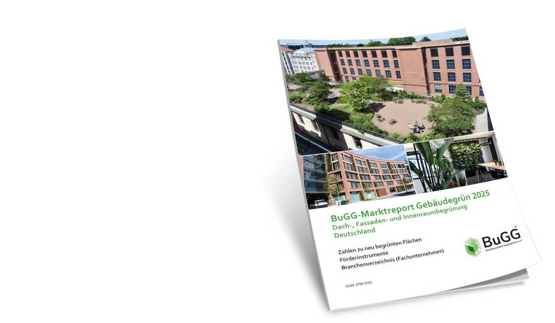Gebäudegrün 2025: Aktuelle Marktzahlen zu Dach-, Fassaden- und Innenraumbegrünung