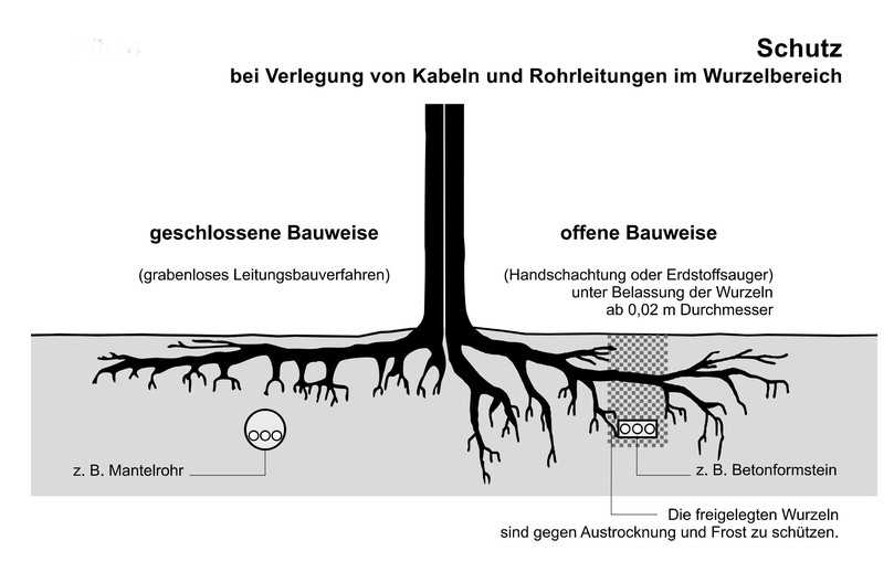 Schutz des Baumes bei Verlegung von Kabeln und Rohrleitungen im Wurzelbereich (aus: R SBB 2023) | Foto: FGSV