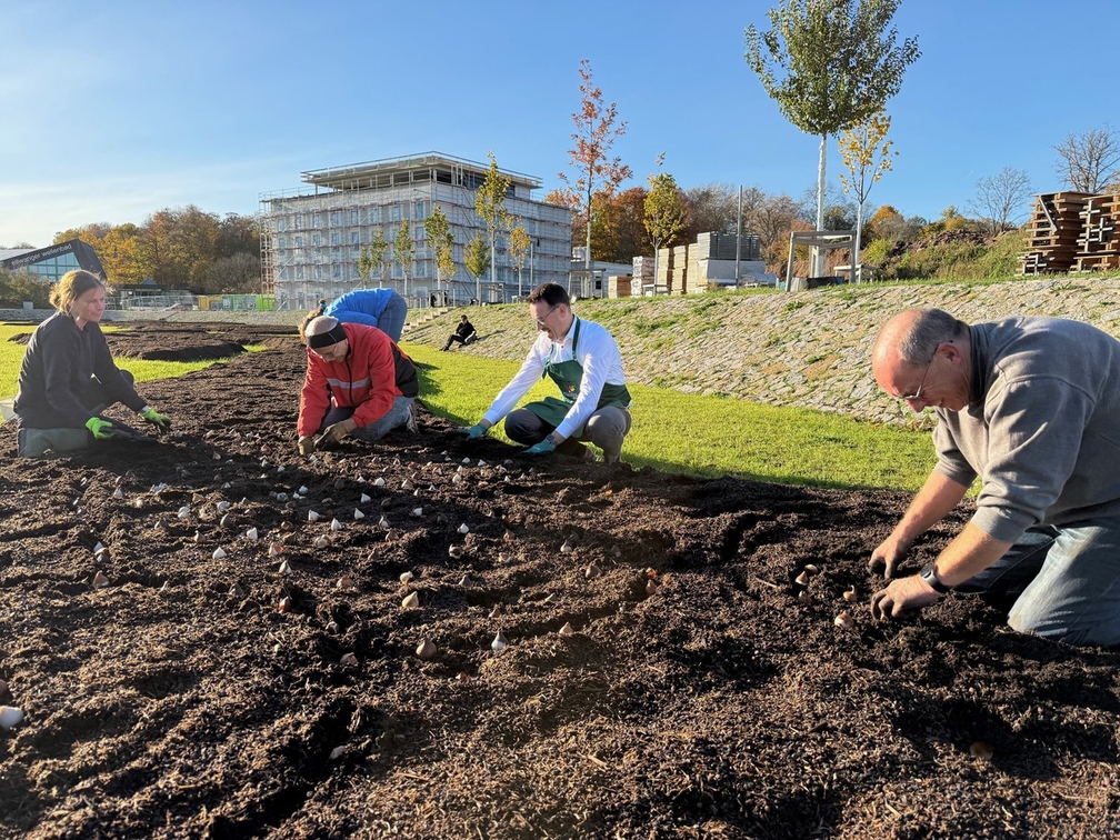 Torffreies Substrat für ein buntes Blumenmeer in Ellwangen
