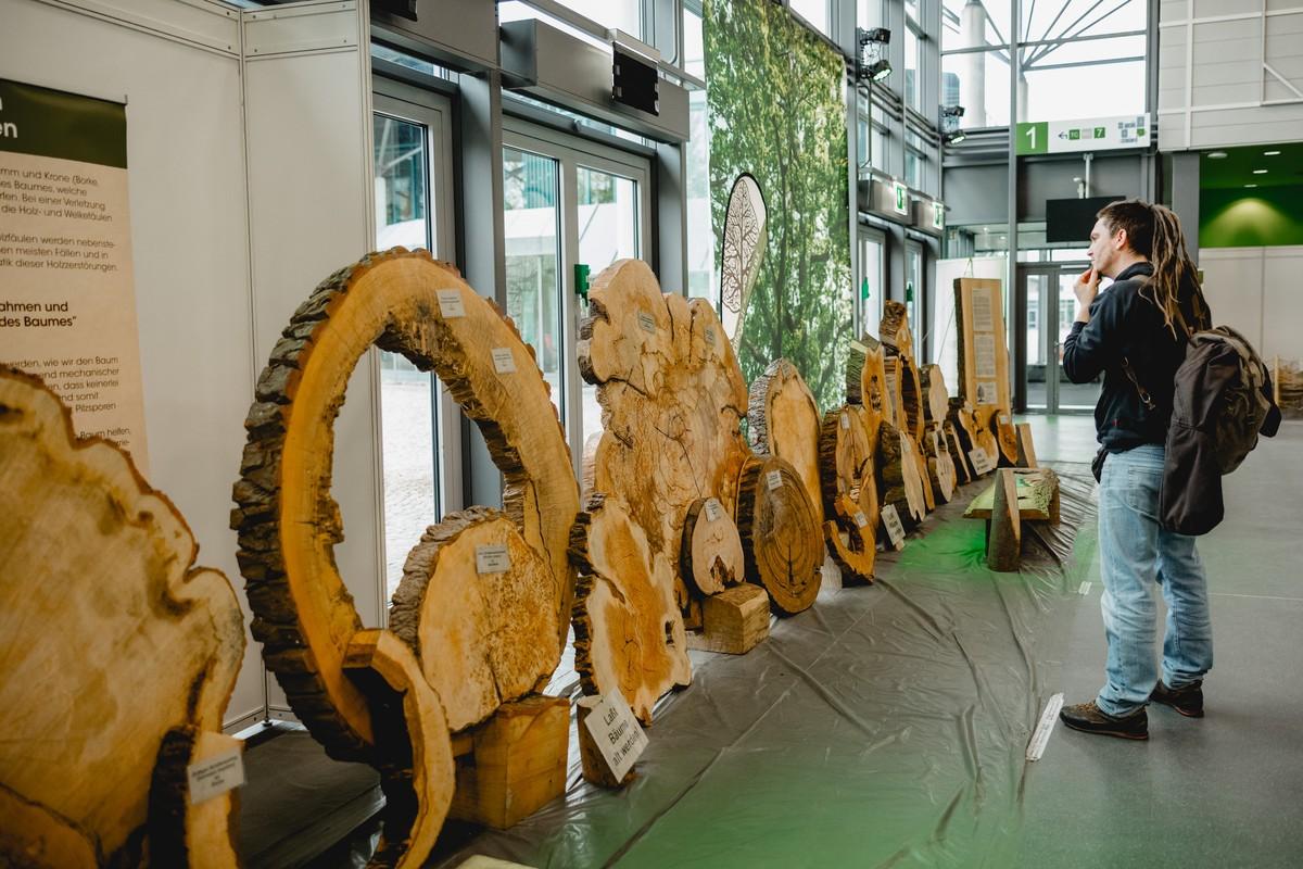 Deutsche Baumpflegetage 2024 in Augsburg. | Foto: Forum Baumpflege GmbH & CO KG