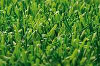 Ausgedienter Kunststoffrasen steckt noch voller Ressourcen