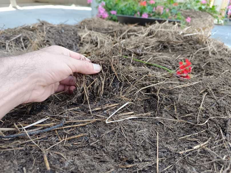 Nach einigen Monaten ist die beginnende Rotte im Ballen deutlich zu erkennen. | Foto: Lennart Dittmer/LWG Nach einigen Monaten ist die beginnende Rotte im Ballen deutlich zu erkennen. | Foto: Lennart Dittmer/LWG