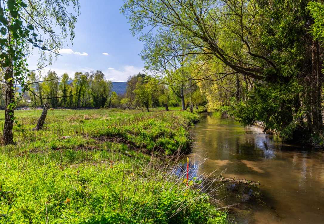 Landesgartenschau 2027: Amphibienschutz in Neustadt