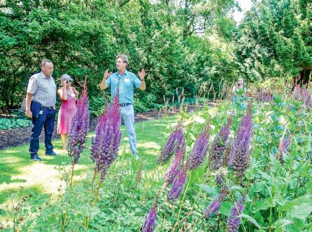 Entscheidungshilfen: Die passende Staudenwahl