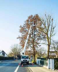 Arbeitsbühnen von Riwal für jeden Einsatz
