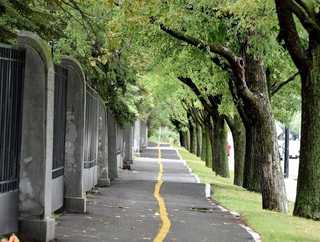 Radinfrastruktur im Einklang mit dem Baumbestand
