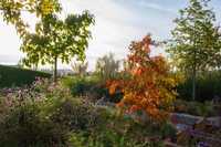 Bäume werten Ingolstadts zweiten Grünring auf