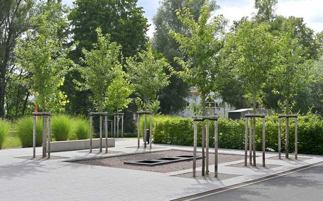 Neuer Pausenhof