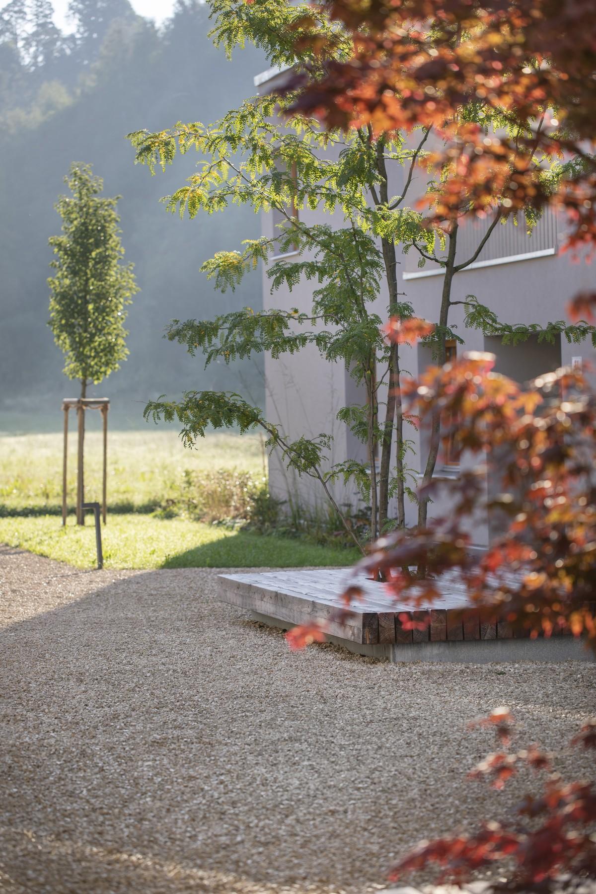 Mit Holz eingefasste Solitärbäume sorgen für Schatten und halten Sitzplätze bereit. | Foto: Petra Rainer