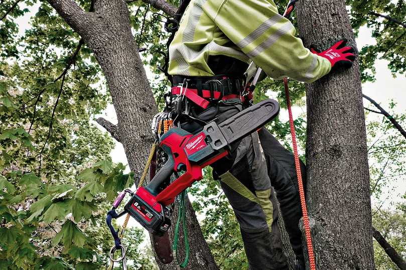 Zwei Befestigungspunkte fĂŒr Sicherungstechnik ermöglichen eine ergonomische Fixierung und einen schnellen Zugang zum Werkzeug bei Arbeiten in Baumkronen oder auf Leitern und GerĂŒsten. | Foto: Milwaukee Zwei Befestigungspunkte fĂŒr Sicherungstechnik ermöglichen eine ergonomische Fixierung und einen schnellen Zugang zum Werkzeug bei Arbeiten in Baumkronen oder auf Leitern und GerĂŒsten. | Foto: Milwaukee