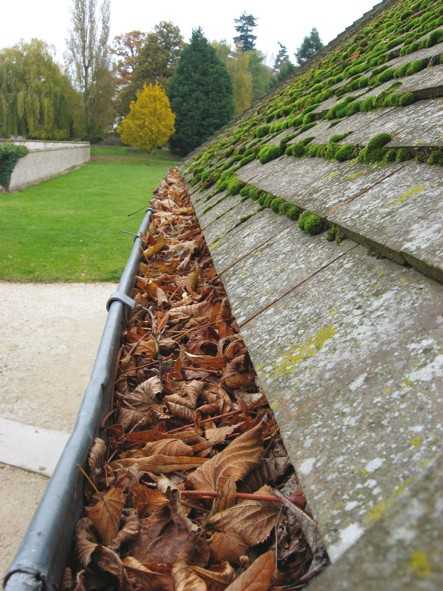Ohne Schutz verstopfen Blätter die Regenrinne. | Foto: Zambelli Holding GmbH