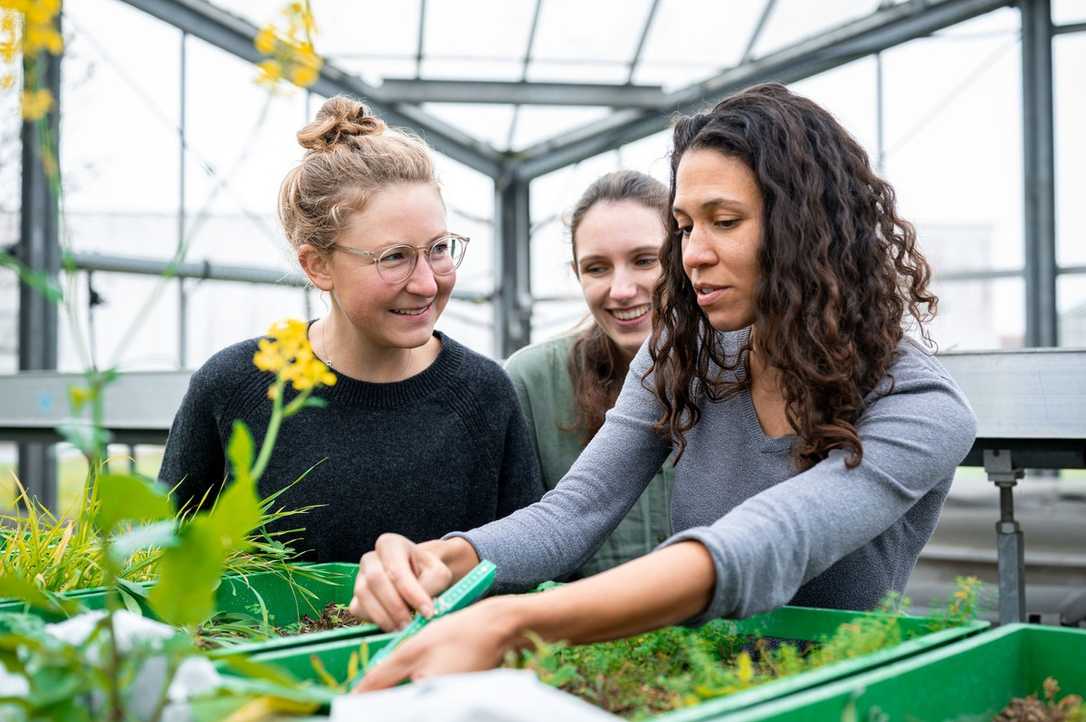 Konstruierte Böden: Aushub sinnvoll in Städten nutzen