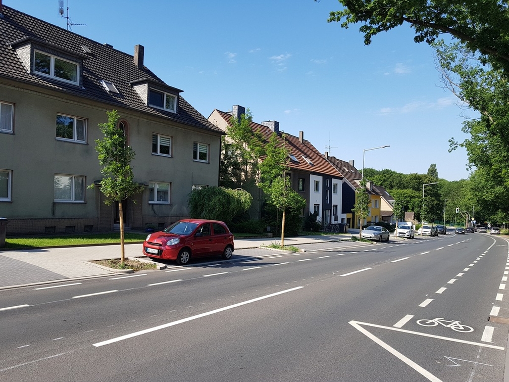 Bochum auf dem Weg zur Schwammstadt