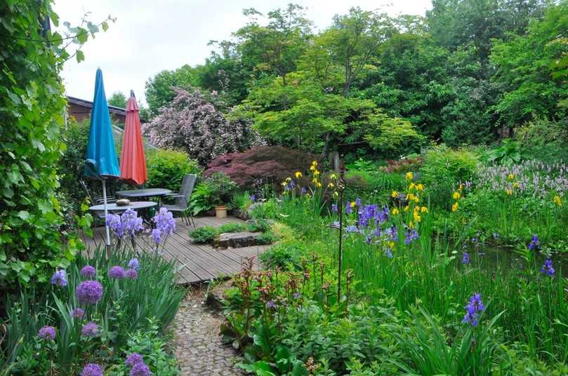 Weder streng geordnet noch wilde Natur: Ein Blick in den Garten des Ehepaars Kolb. | Foto: Kolb