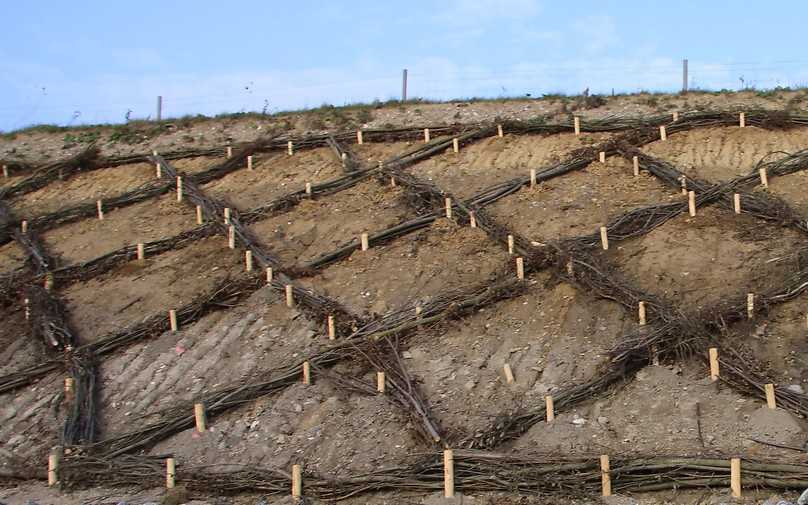 Bild 13: Böschungssicherung mit Faschinen an der BAB 20. | Foto: Herle Saathoff