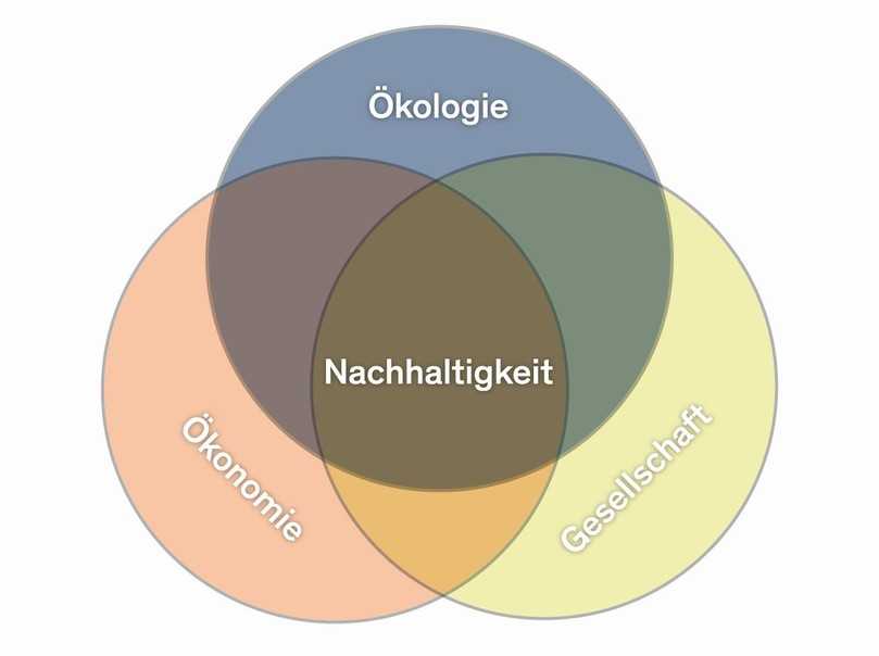 Zur Nachhaltigkeit gehören gleichermaßen die Bereiche Ökologie, Ökonomie und Soziales. | Foto: Swietelsky-Faber