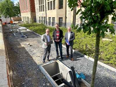 Innovative Baumrigolen sollen urbanes Klima verbessern