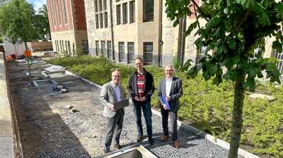 Innovative Baumrigolen sollen urbanes Klima verbessern