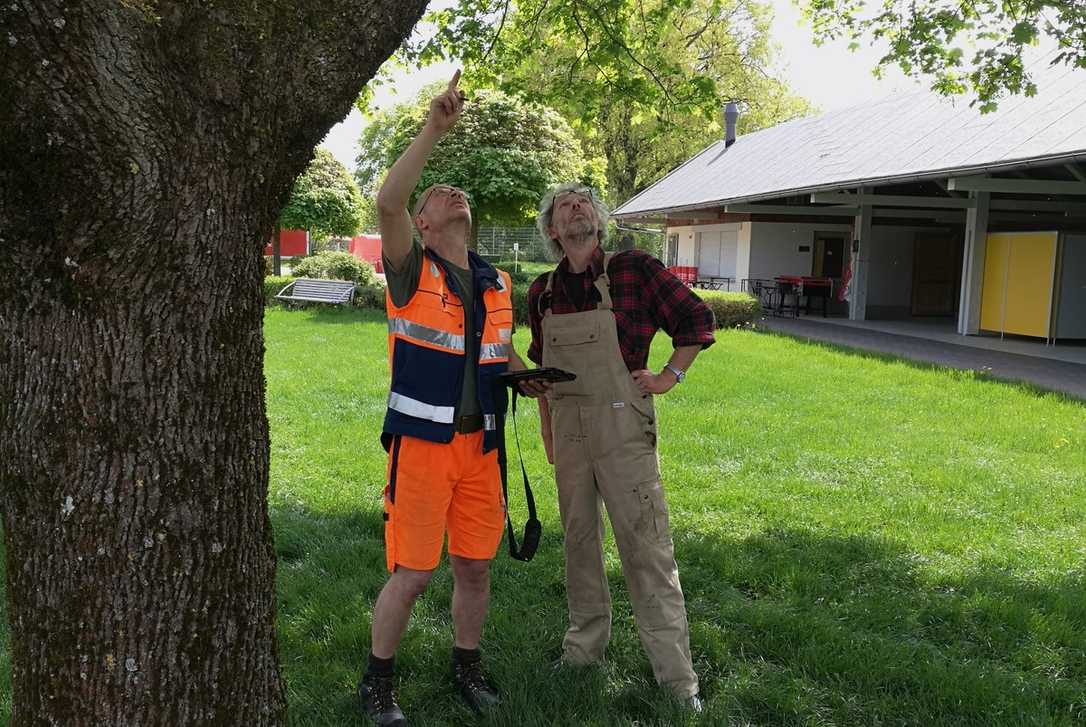 Seltene Tiere in einer App dokumentieren und sie so besser schützen Seltene Tiere in einer App dokumentieren und sie so besser schützen