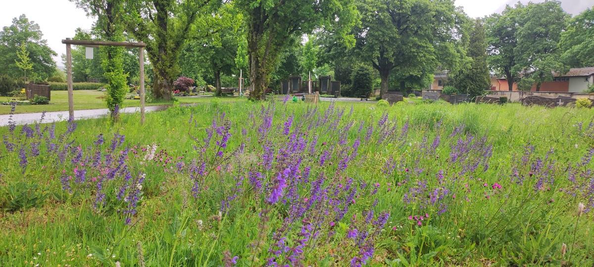 Ausgezeichnet: Friedhof in Stockach | Foto: Kommbio