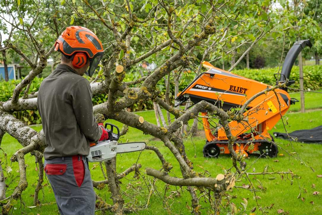 Eliet Häcksler für Profis im GaLaBau