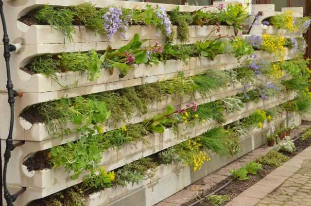 Vertikalbegrünung mit Patent: modulares System aus Kalksandstein