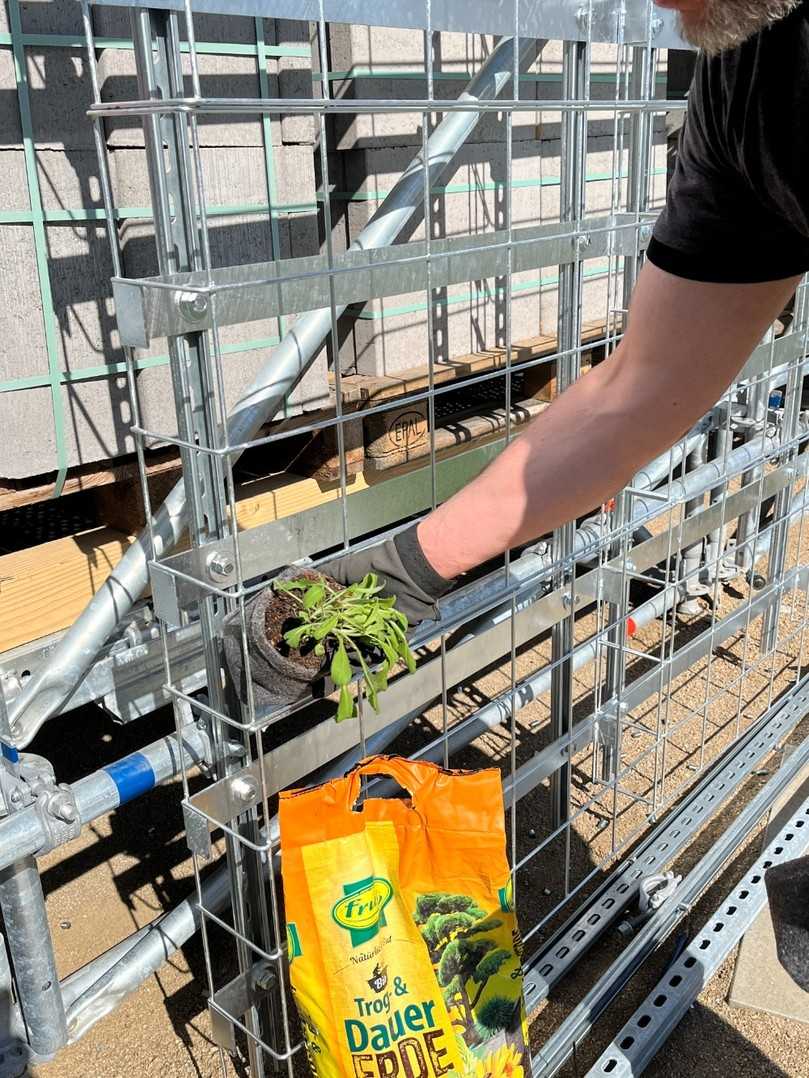 Gepflanzt wurde in der torffreien Trog- und Dauererde von frux, die der Hersteller PATZER ERDEN gesponsert hatte. | Foto: PATZER ERDEN Gepflanzt wurde in der torffreien Trog- und Dauererde von frux, die der Hersteller PATZER ERDEN gesponsert hatte. | Foto: PATZER ERDEN