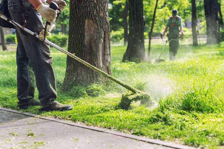 So steht es um den Garten- und Landschaftsbau