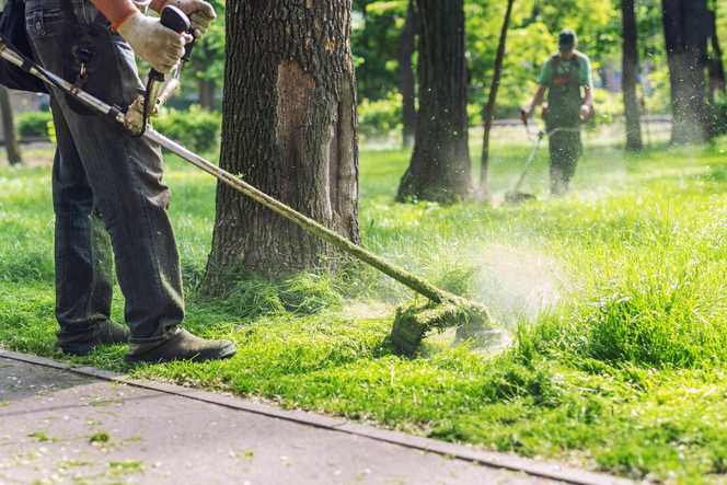 So steht es um den Garten- und Landschaftsbau