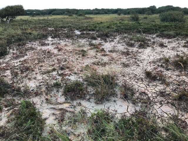 Neues Verfahren: Cable & Pipe: Oberflächennahe Verlegung von Kabelschutzrohren