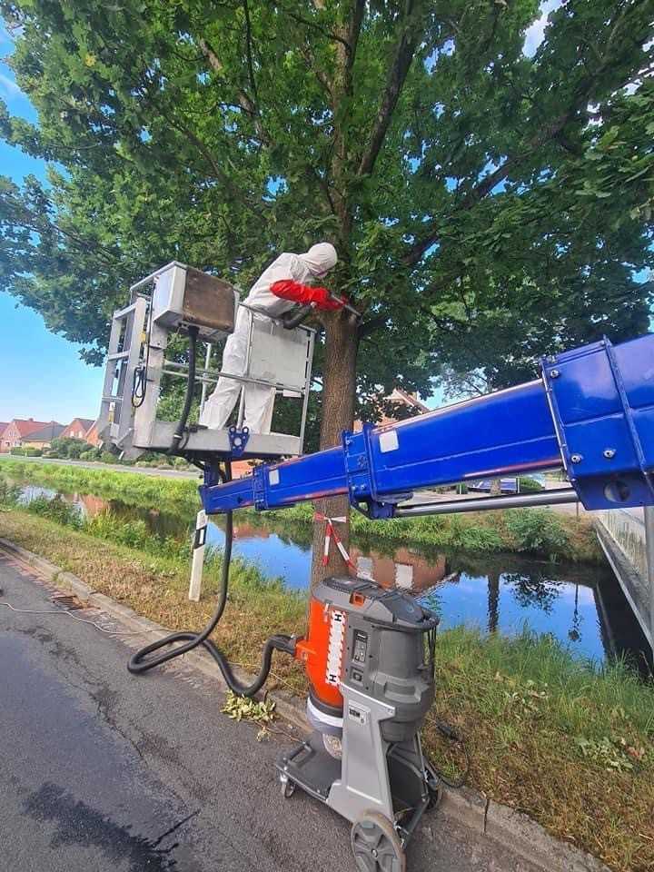 Je nach Witterung ist es ab April bis in den Juni hinein wieder so weit: Die Raupen des Eichenprozessionsspinners können in Massen auftreten und aufgrund ihrer Brennhaare die Gesundheit von Menschen beeinträchtigen. | Foto: Husqvarna Construction Je nach Witterung ist es ab April bis in den Juni hinein wieder so weit: Die Raupen des Eichenprozessionsspinners können in Massen auftreten und aufgrund ihrer Brennhaare die Gesundheit von Menschen beeinträchtigen. | Foto: Husqvarna Construction