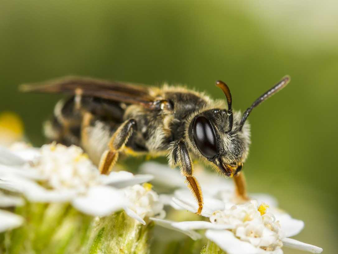 Warum Mini-Parks so wichtig sind