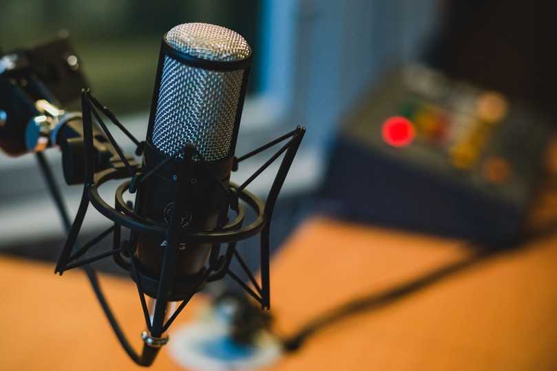 Über 120 Folgen des Podcasts „Humulus Lupulus" sind schon erschienen. | Foto: Pixabay