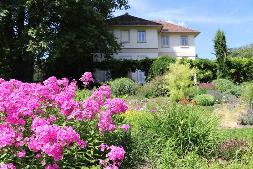 Blühendes Staudenbeet vor dem Spielhaus in den Hohenheimer Gärten. | Foto: Universität Hohenheim/Melina Fritz